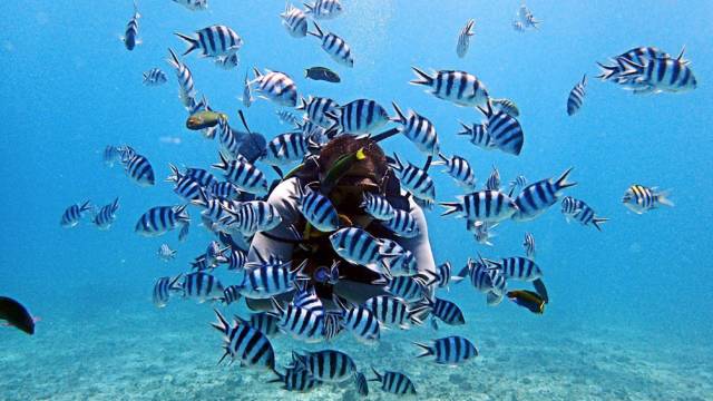 weekendescape什么意思,weekendescape