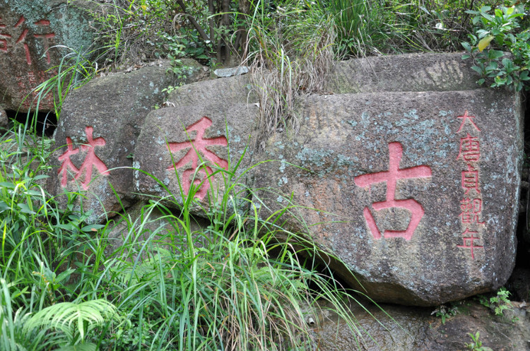 到中山的千年古刹古香林寺旧址周边山林探秘，感觉大自然太美啦