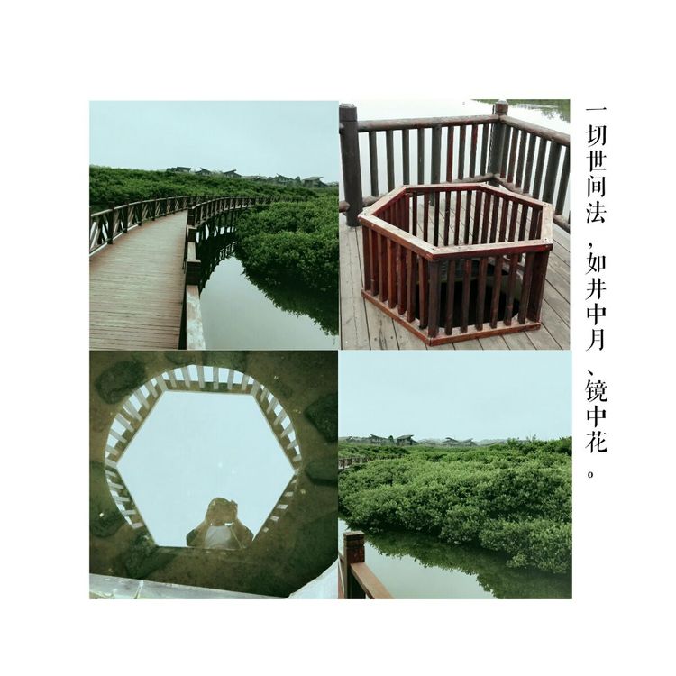 海南之旅感悟,海南行的点滴回忆