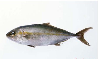 自体脂肪苹果肌填充副作用,自体脂肪填充泪沟苹果肌好吗