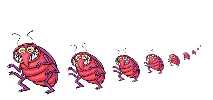 天气热就有臭虫怎么防臭虫来房间,家里有臭虫怎么办如何防治臭虫