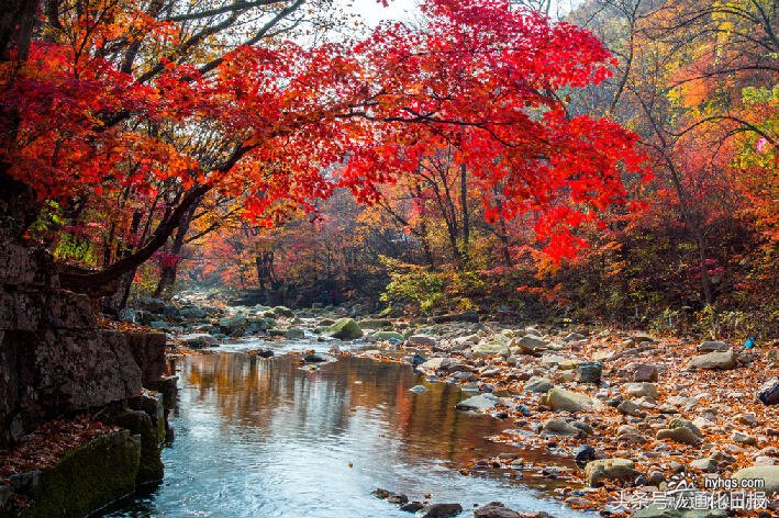 通化配音,吉林省通化市配音
