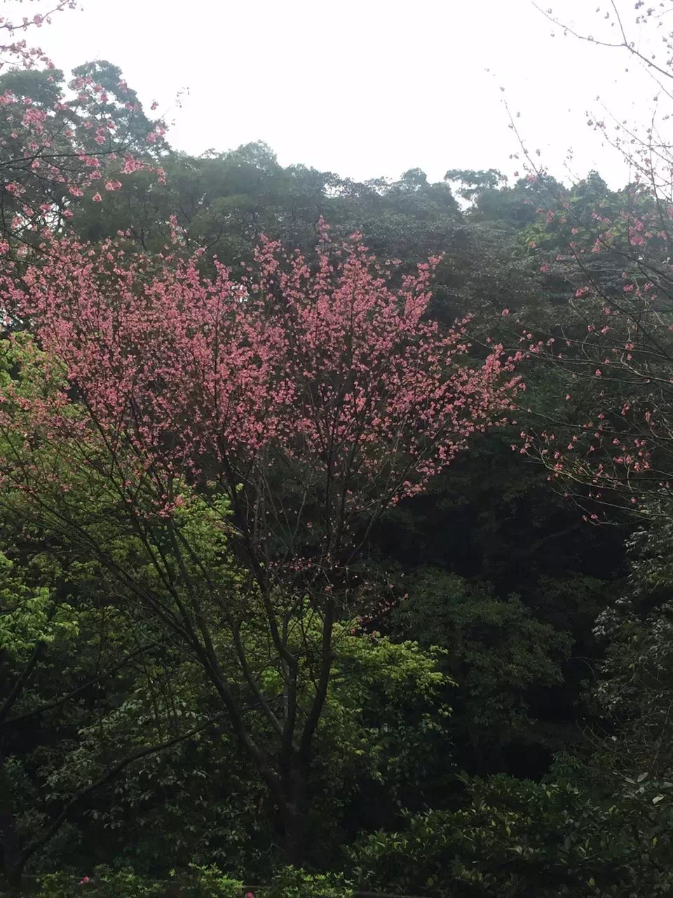 苏花公路最佳路线,苏花公路风景图