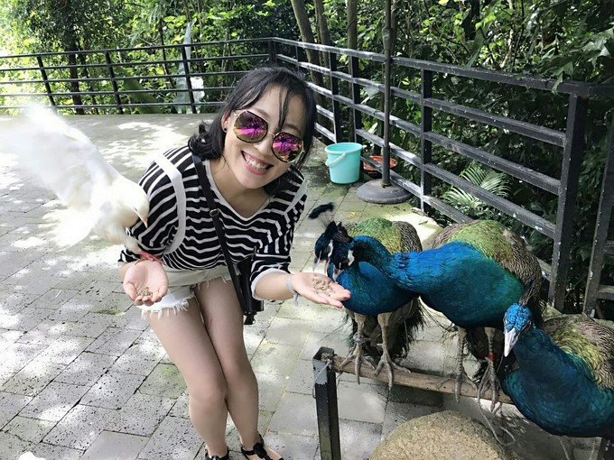 三亚自助游攻略游记,三亚旅游吃货攻略自由行