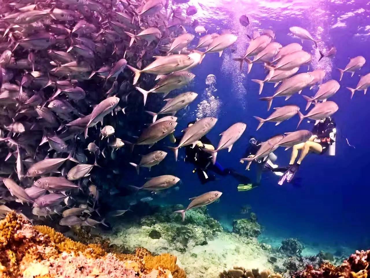 到底辣妈们在马布海洋日有多惬意？看视频就知道了！