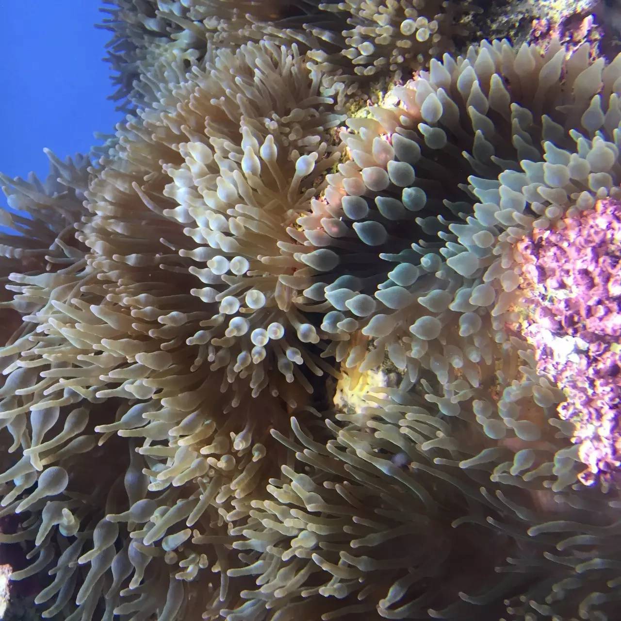 weekendescape什么意思,weekendescape