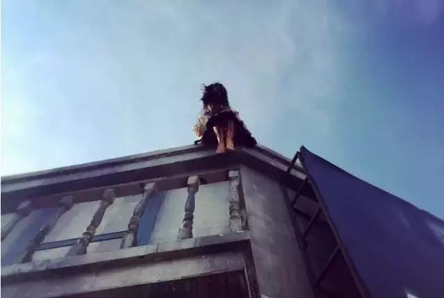 魔都城市中心游乐场,魔都一站式畅玩的室内游乐场来啦