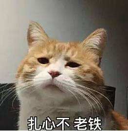 瓜帅评价英超竞争,瓜帅英超夺冠压力