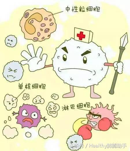 白细胞低感染了有什么症状,白细胞低引发细菌感染