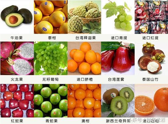 新农村好点子,农村最新创业点子