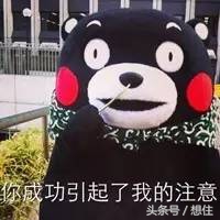 二度实探｜那个宣称要“淘汰”北二环的大丰，你可能买不起了