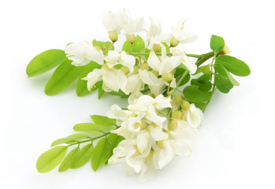 例假来了可以喝过敏药吗,例假期间可以喝土茯苓吗