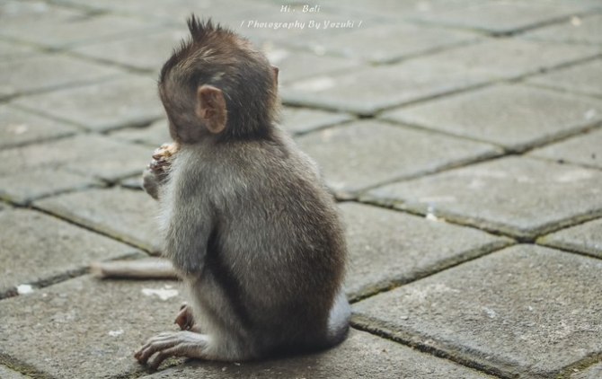 巴厘岛自由行5日游,巴厘岛天堂之旅