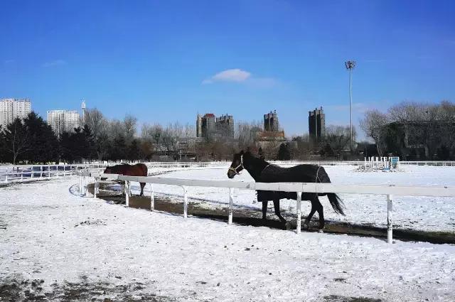 伪满皇宫的历史故事,伪满皇宫历史