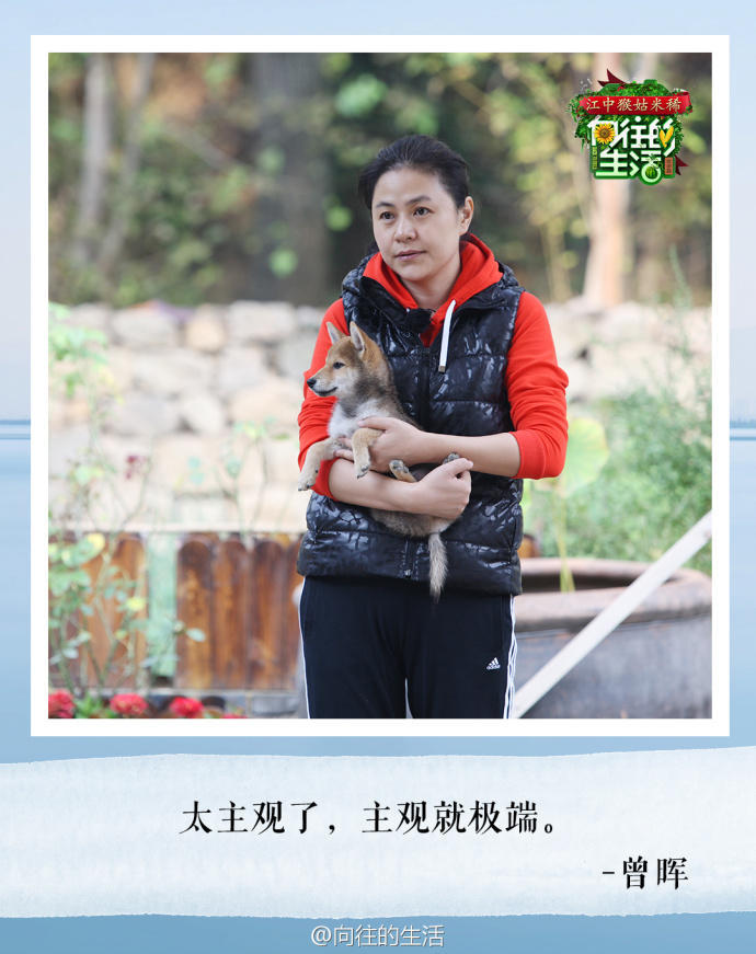 向往的生活我们来了,向往的生活我们来了图片