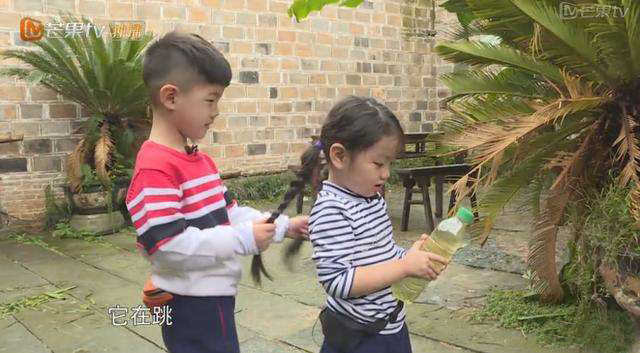 东北宋仲基安吉实力圈粉,东北宋仲基安吉是老大还是老二