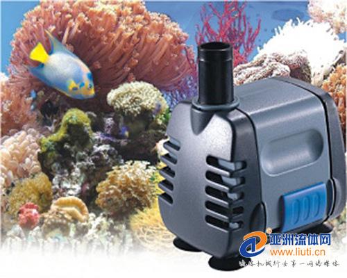 水产养殖户解决养鱼难题,观赏鱼养殖入门