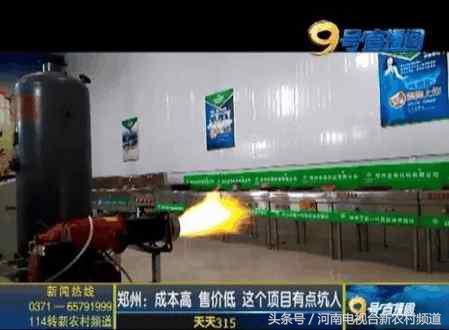 成本高价格低这个项目不要相信！