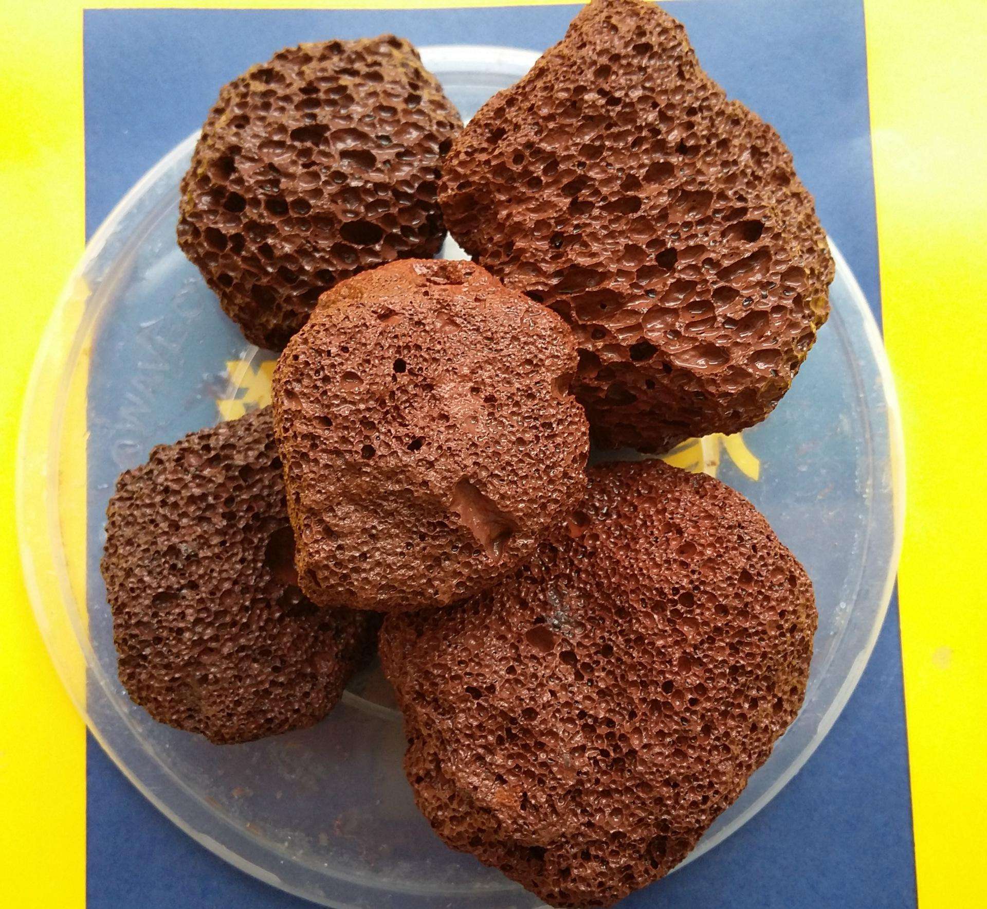 水产养殖户解决养鱼难题,观赏鱼养殖入门