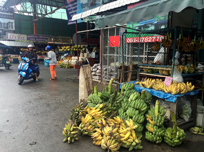 泰国清迈必买购物攻略,泰国之行