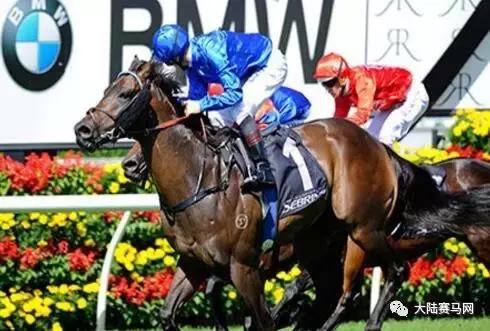 雅士种公马罗马大帝配种费不到1万，子嗣在香港赚了3000万！