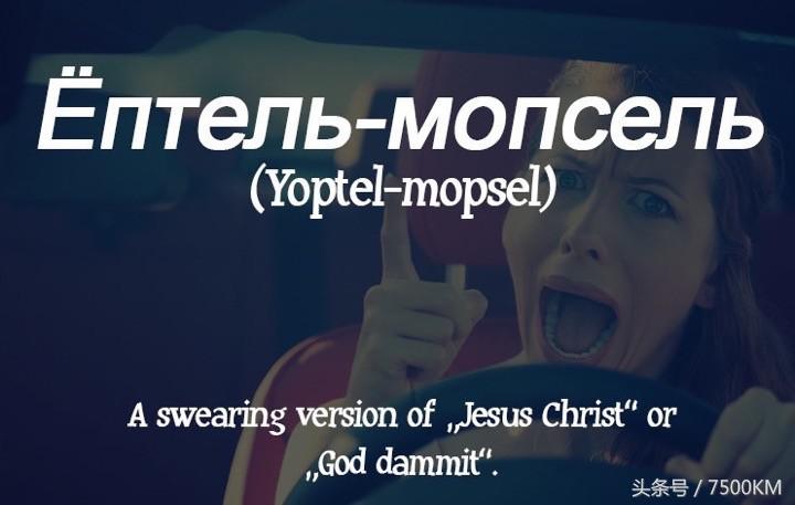 外国的骂人英文怎么说,国外骂人英文