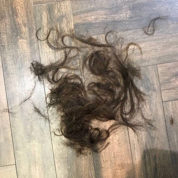 赵薇周迅章子怡红毯,赵薇章子怡百花奖同台不互动