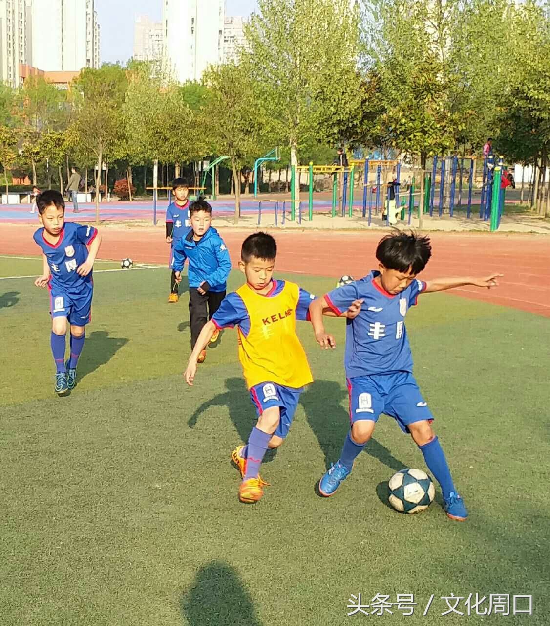 视觉周口｜正在集训的周口足球小子，看看有您认识没