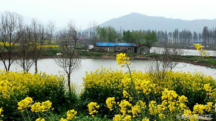 鏋炲窛灞辨按,鏋炲窛