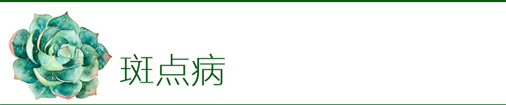 多肉植物如何防治病害,多肉植物病害处理视频