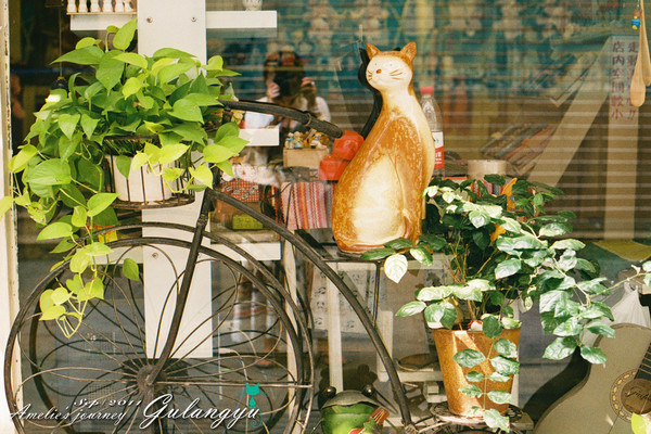 鼓浪屿旅行攻略玩乐攻略,鼓浪屿旅行攻略大全最新