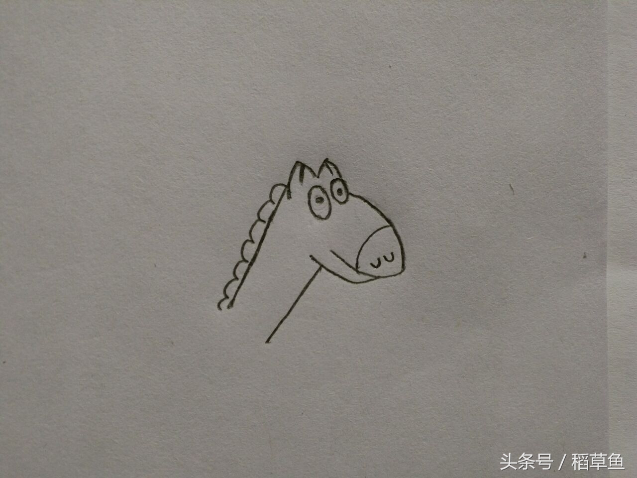 12生肖完整图片马的简笔画,12生肖中的狗简笔画怎么画