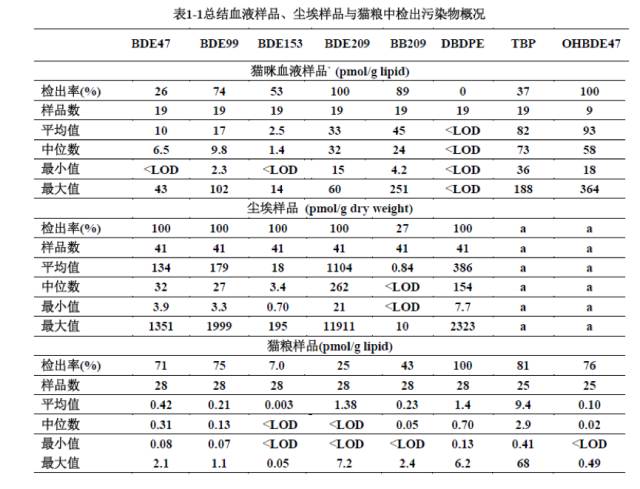 猫舔毛舔秃了是怎么回事,猫舔毛给它弄凌乱了