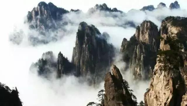 以佛治心以道治身是什么意思,以佛治心以道治身以儒治世