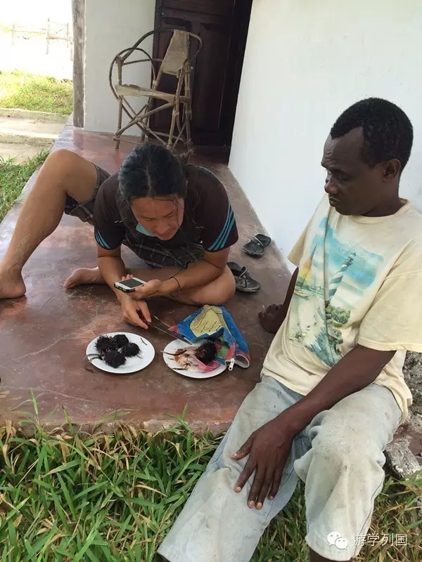 一生必去一次的非洲坦桑尼亚｜回归狂野