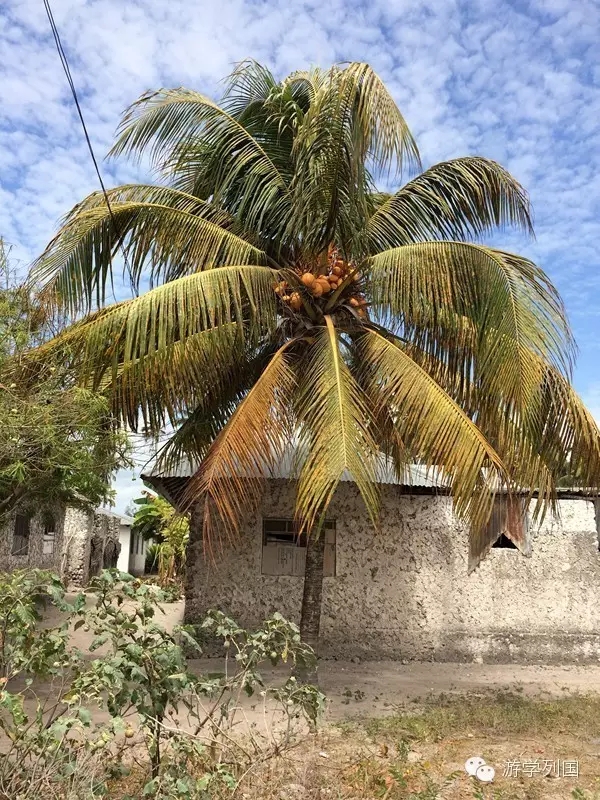 一生必去一次的非洲坦桑尼亚｜回归狂野