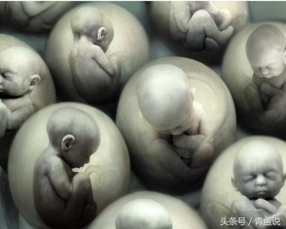 宝宝在肚子里发育是否正常？了解胎儿的变化全过程！