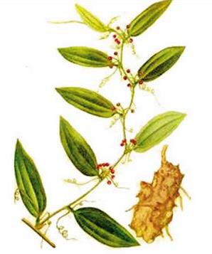 失眠多梦睡不着让你一觉睡到天亮,失眠多梦一杯茶助你一觉到天亮