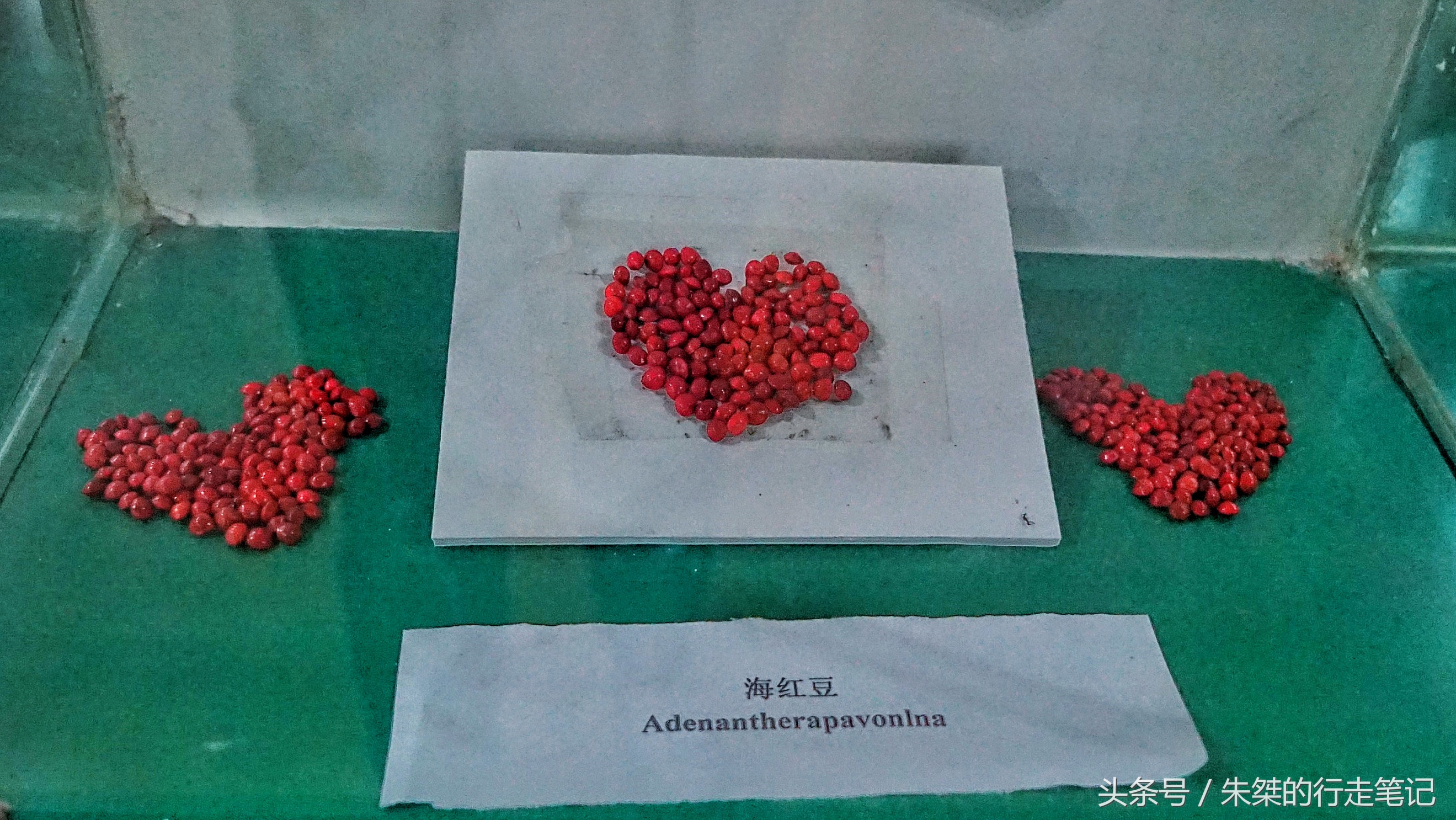 版纳颈椎治疗,西双版纳治疗颈椎好的按摩仪器