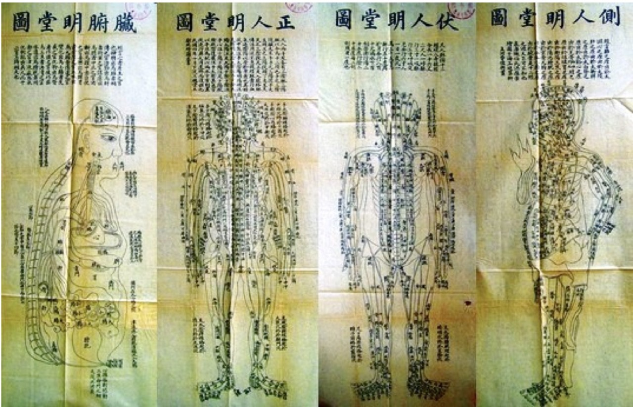 古今中外绘画欣赏,解剖全国绘画优秀作品