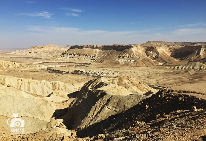 中东荒漠中的“特殊旅行”