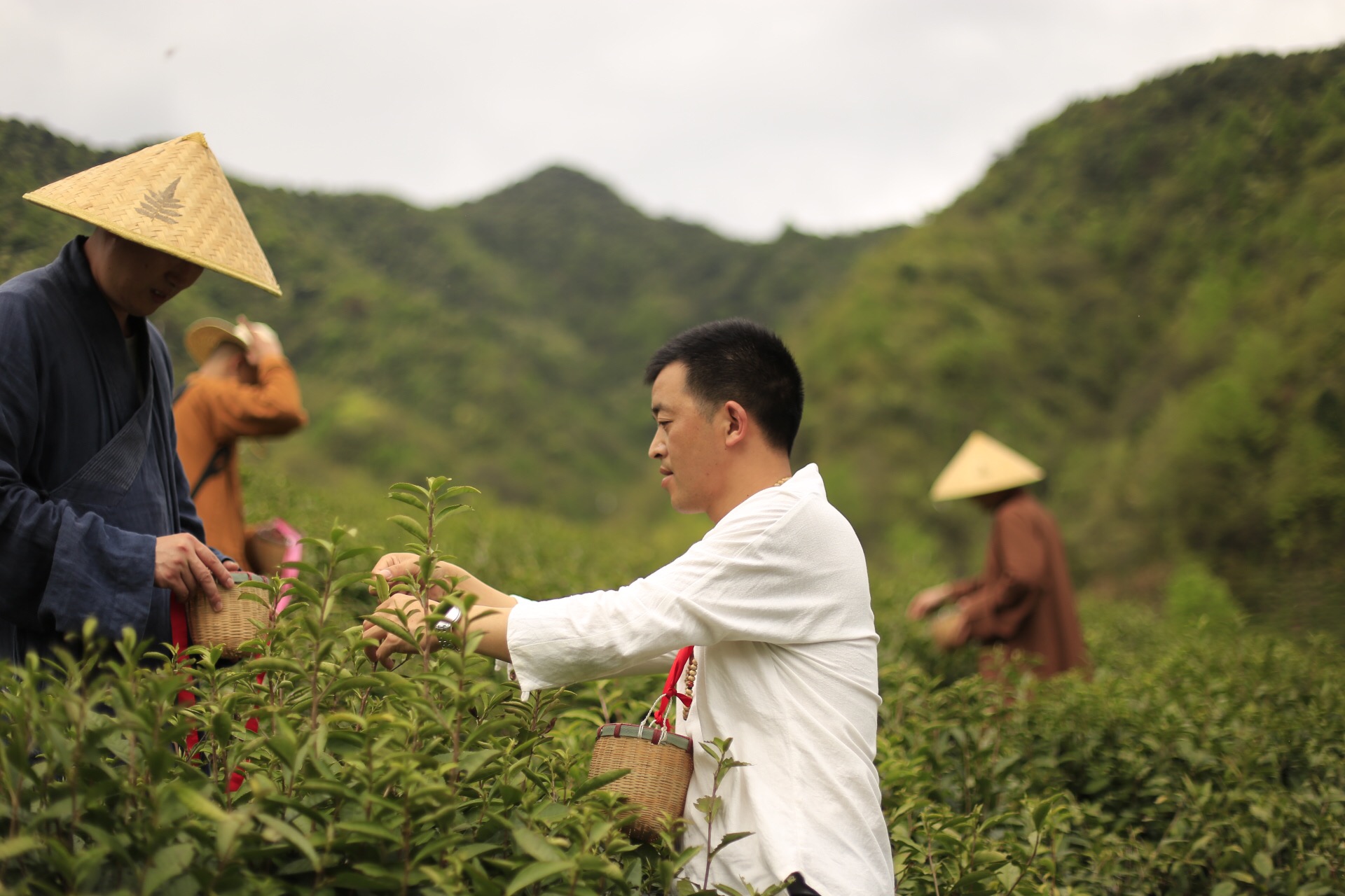 一个四月下午，一个僧人，一个茶商的故事
