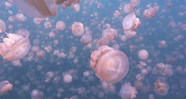 任何一段亲密关系都需要感情基础,恋爱中应该把亲密进行到什么程度