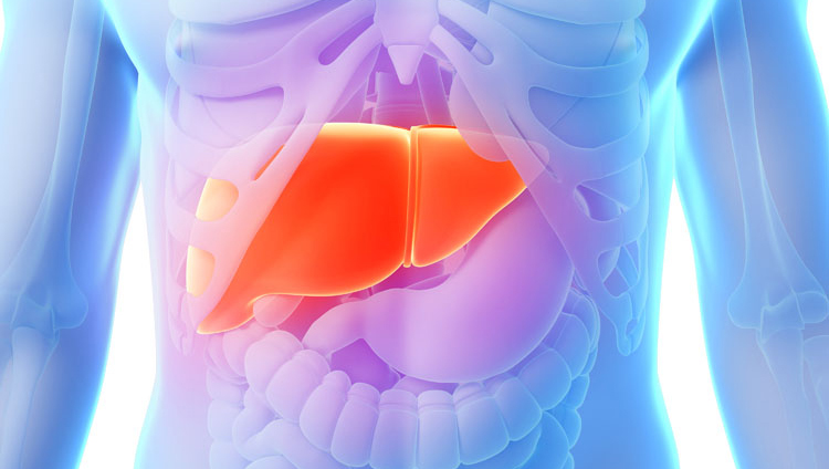 尿液颜色变深是什么原因,尿液颜色突然咖啡色