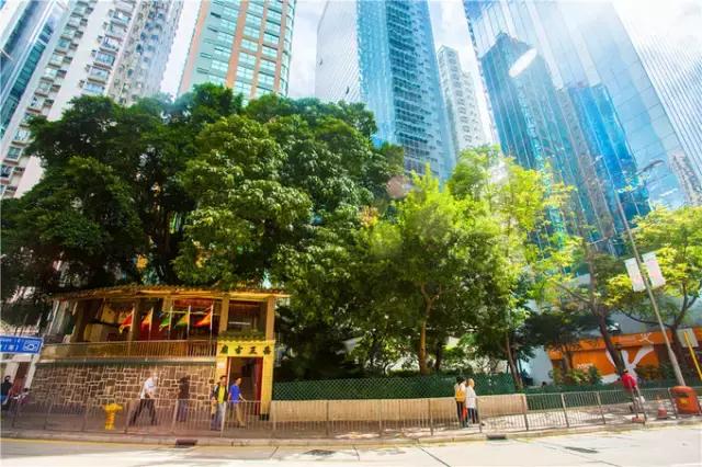 香港tvb的发展历程,香港tvb怀旧之旅