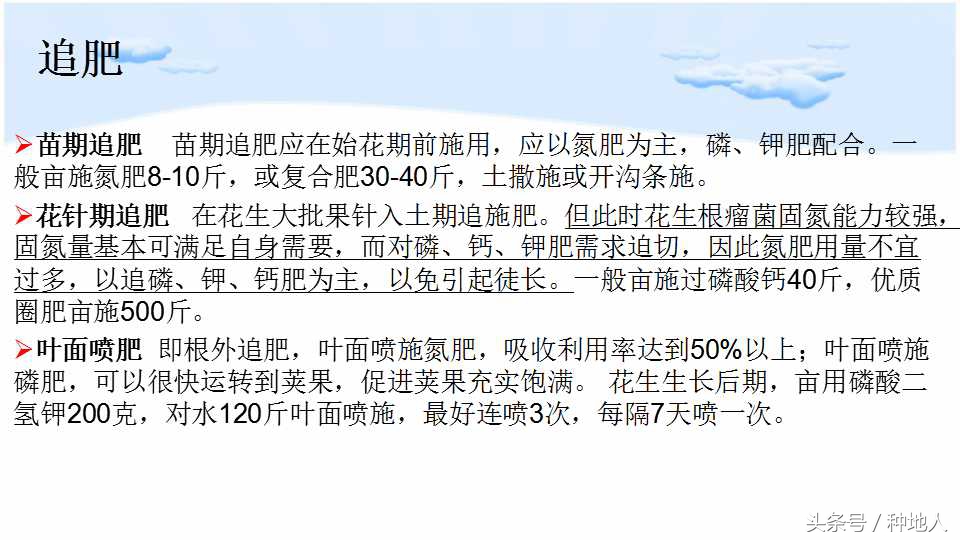 马上开始播种花生,快要种花生了