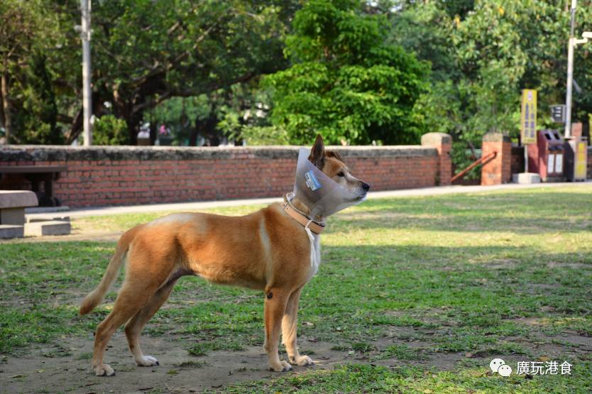 找回“过日子”的感觉，就在台南！