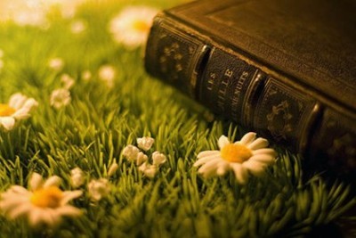 把自己头像当微信头像是什么性格,你的微信头像决定你的人格