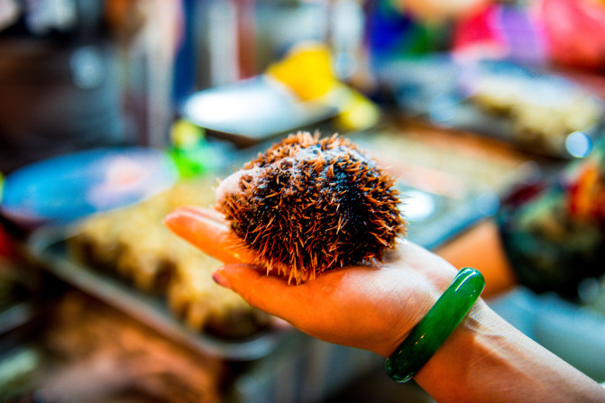 蓝天白云,椰风海韵,去三亚散散心吧