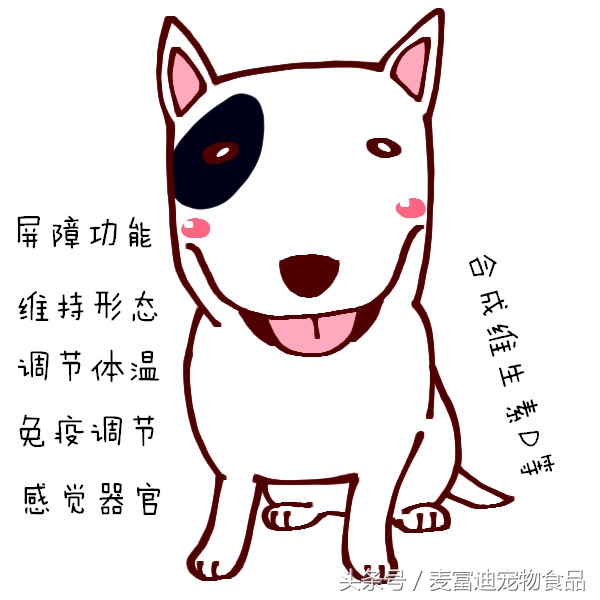 给狗狗做美容大保健,狗狗皮肤止痒药